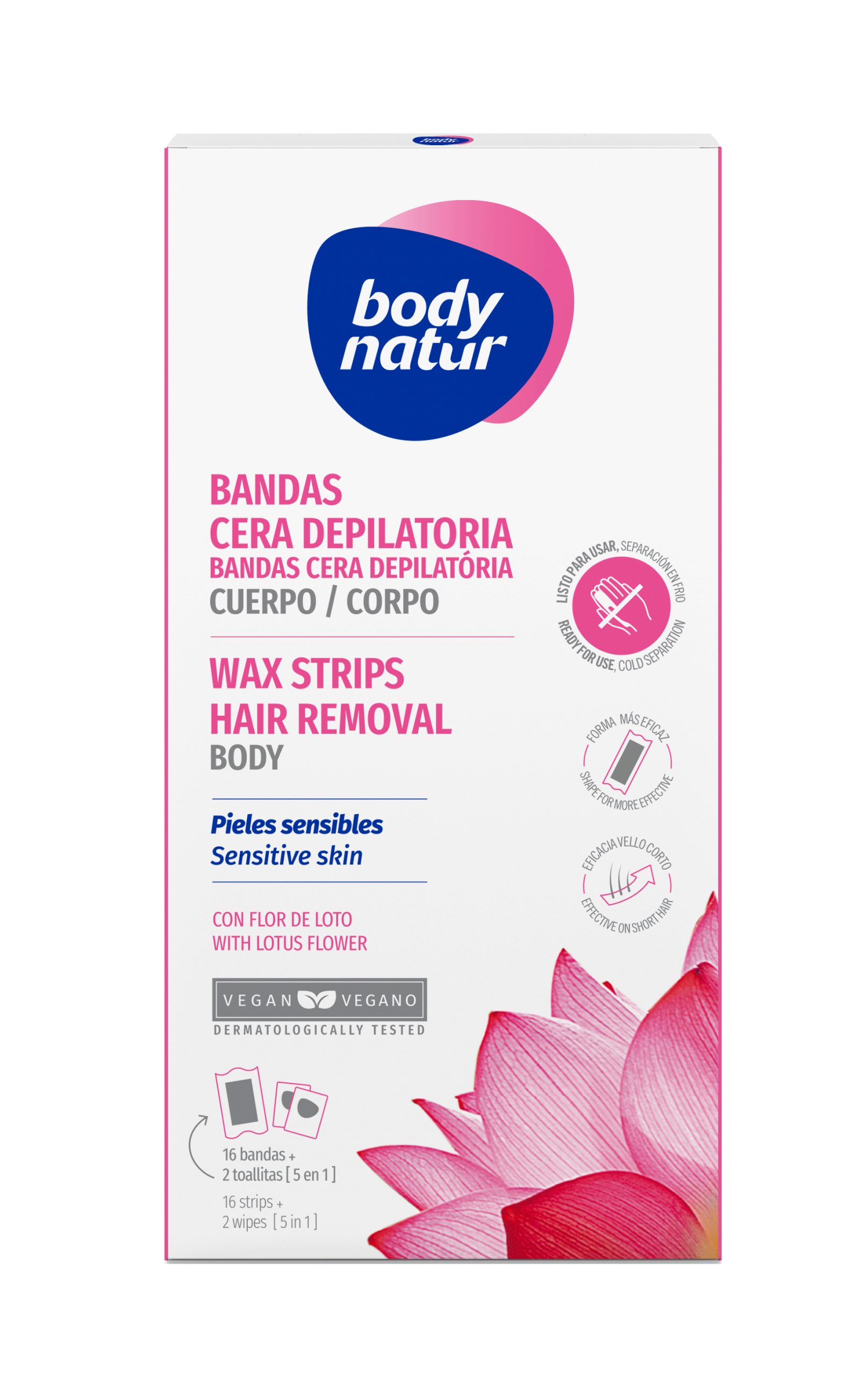 BANDAS-CORPORALES-FLORDE-LOTO